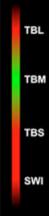 The Heatmap